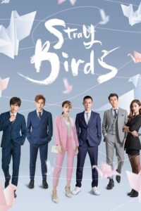 Stray Birds (2021) – อลวนคนไอที (ซับไทย)