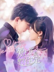 Love Destiny (2022) ซับไทย