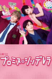 Promise Cinderella (2021) ซับไทย