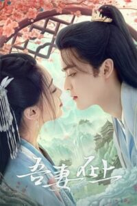My Beloved Wife (2024) – แม่ทัพหญิงยอดดวงใจ ซับไทย