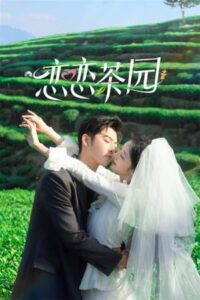 Love in the Tea Garden – รักเกิดในสวนชา (ซับไทย) – ตอนที่ 15