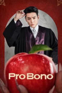 Pro Bono สู้สุดใจทนายอาสา (ซับไทย)